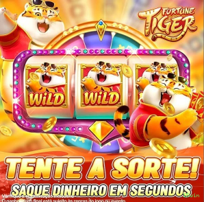Privacidade 15win
